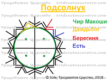 Став Подсолнух