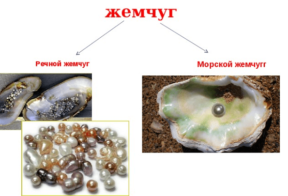 Жемчуг