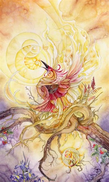 Shadowscapes Tarot. Трактовки, значение карт. Старшие арканы