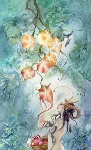 Shadowscapes Tarot. Трактовки, значение карт. Масть Пентаклей