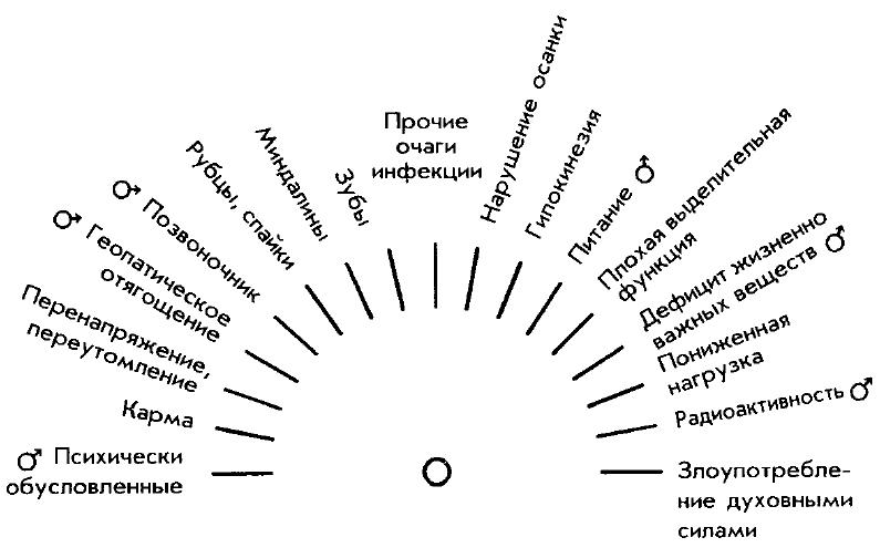 Работа с маятником. Штангл таблицы