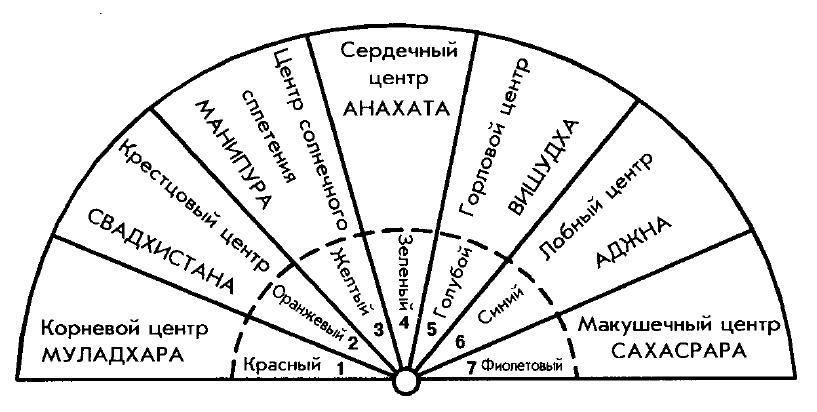 Работа с маятником. Штангл таблицы