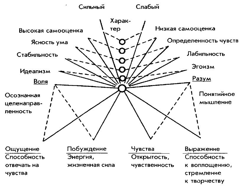 Работа с маятником. Штангл таблицы