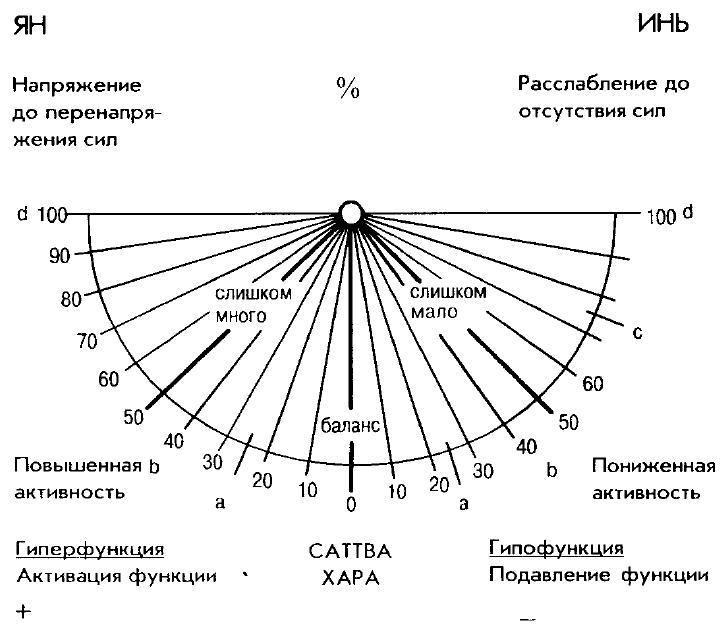 Работа с маятником. Штангл таблицы