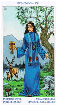 Языческое Таро (Pagan Tarot). Значение карт, трактовки. Масть кубков