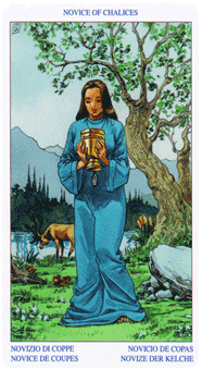 Языческое Таро (Pagan Tarot). Значение карт, трактовки. Масть кубков