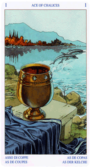 Языческое Таро (Pagan Tarot). Значение карт, трактовки. Масть кубков