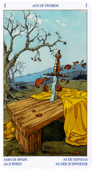 Языческое Таро (Pagan Tarot). Значение карт, трактовки. Масть мечей