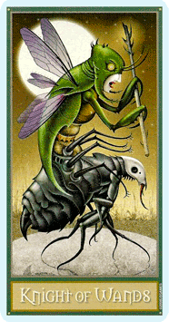 Таро Безумной луны. Значение карт, трактовки. Масть жезлов