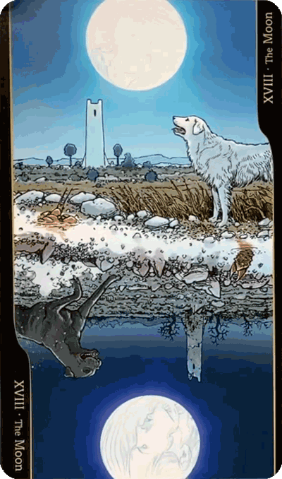 Таро Оппозиций. Значение карт, трактовки. Старшие арканы