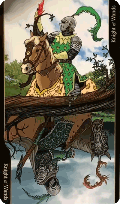 Таро Оппозиций. Значение карт, трактовки. Масть жезлов