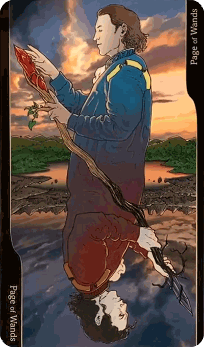 Таро Оппозиций. Значение карт, трактовки. Масть жезлов