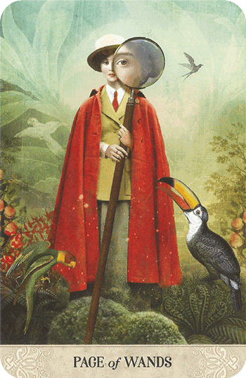 Таро Мистические моменты. Значение карт, трактовки. Масть жезлов