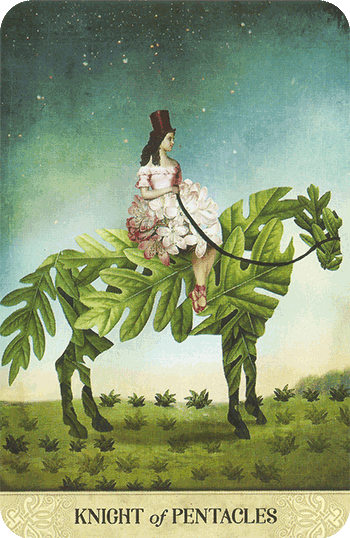 Таро Мистические моменты. Значение карт, трактовки. Масть пентаклей