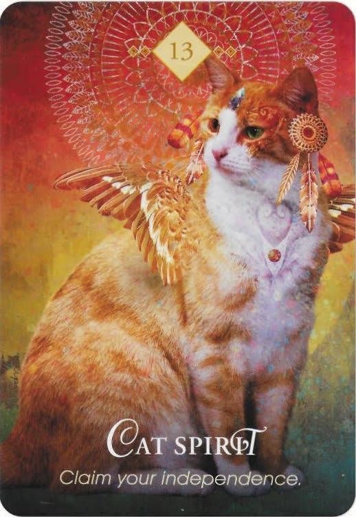 The Spirit Animal Oracle. Оракул Духи животных. Значение карт, трактовки