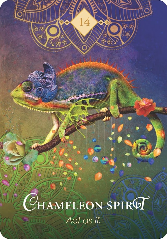 The Spirit Animal Oracle. Оракул Духи животных. Значение карт, трактовки