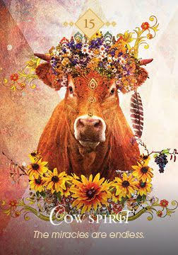 The Spirit Animal Oracle. Оракул Духи животных. Значение карт, трактовки