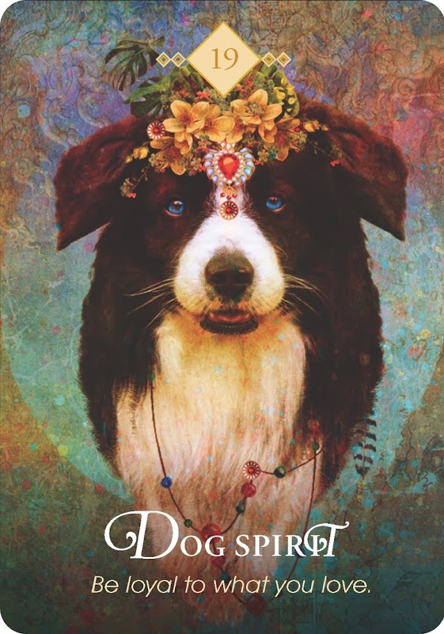 The Spirit Animal Oracle. Оракул Духи животных. Значение карт, трактовки