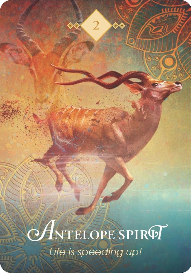 The Spirit Animal Oracle. Оракул Духи животных. Значение карт, трактовки