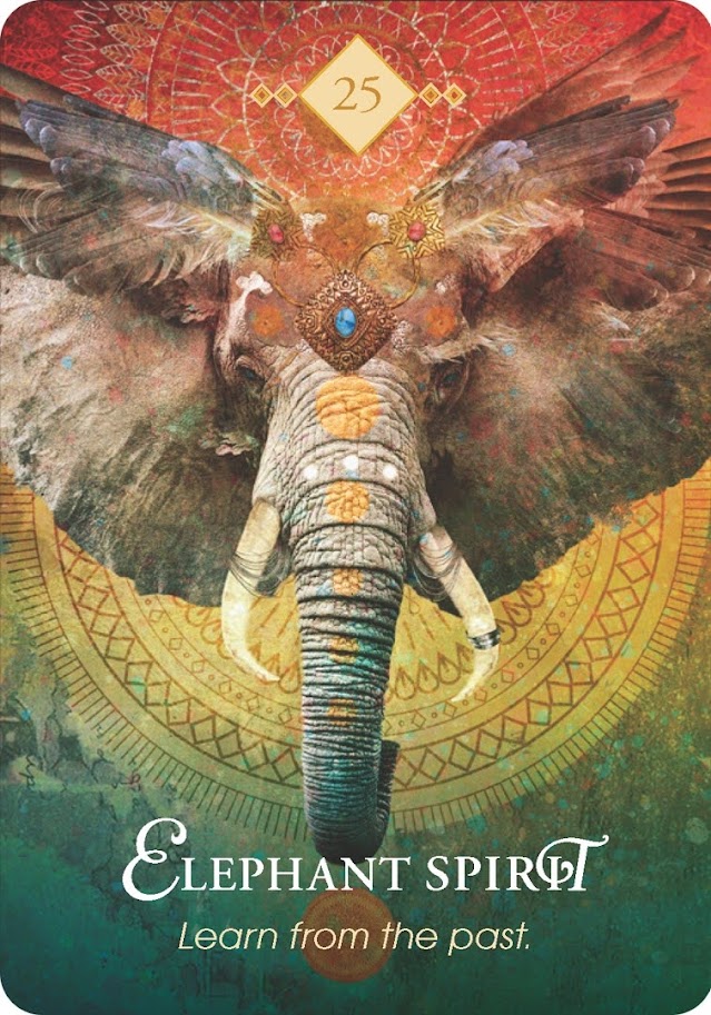 The Spirit Animal Oracle. Оракул Духи животных. Значение карт, трактовки