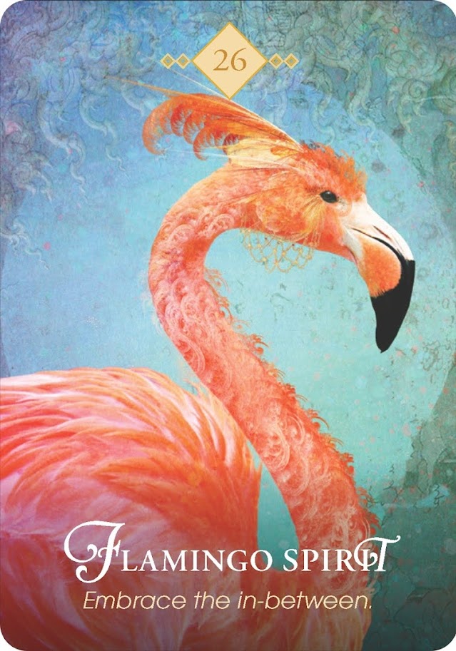 The Spirit Animal Oracle. Оракул Духи животных. Значение карт, трактовки