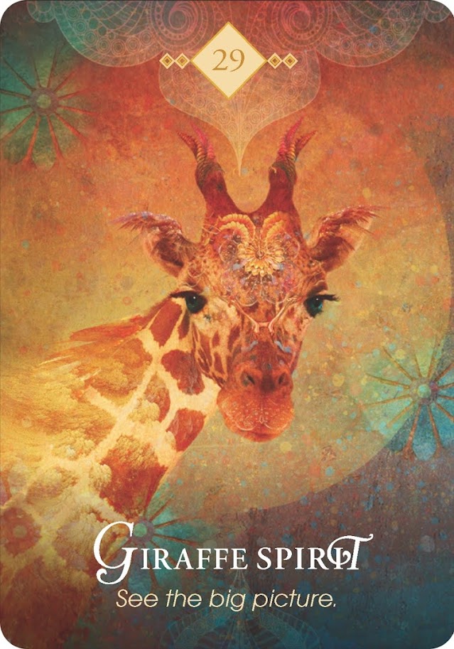 The Spirit Animal Oracle. Оракул Духи животных. Значение карт, трактовки