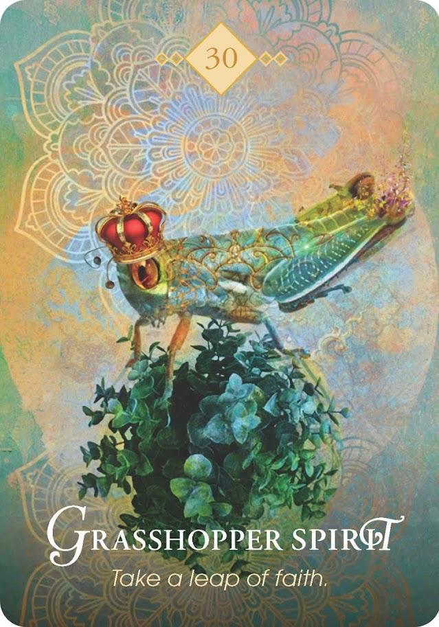 The Spirit Animal Oracle. Оракул Духи животных. Значение карт, трактовки