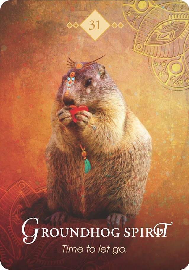 The Spirit Animal Oracle. Оракул Духи животных. Значение карт, трактовки