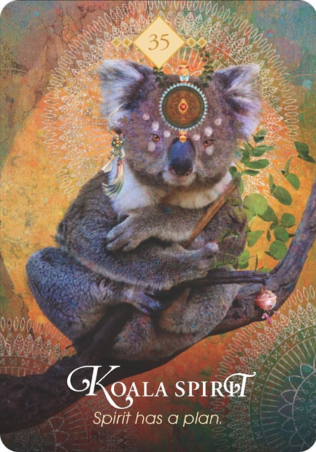 The Spirit Animal Oracle. Оракул Духи животных. Значение карт, трактовки