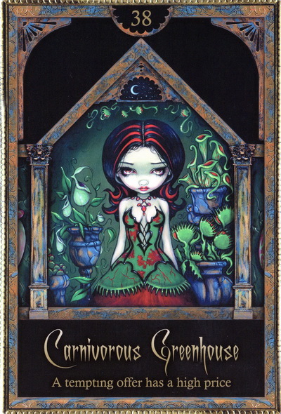 Оракул Теней и света. Значение карт, трактовки