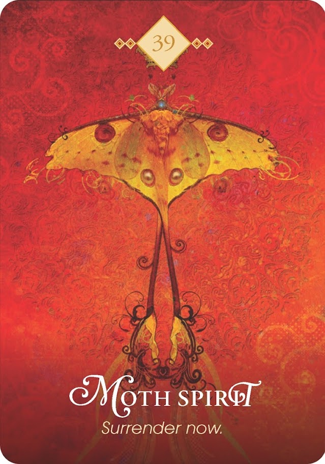 The Spirit Animal Oracle. Оракул Духи животных. Значение карт, трактовки