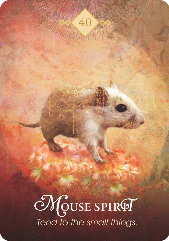 The Spirit Animal Oracle. Оракул Духи животных. Значение карт, трактовки