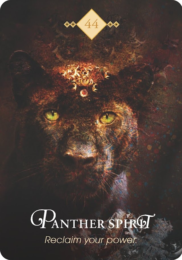 The Spirit Animal Oracle. Оракул Духи животных. Значение карт, трактовки