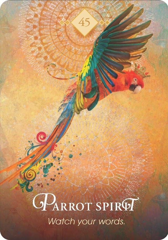 The Spirit Animal Oracle. Оракул Духи животных. Значение карт, трактовки