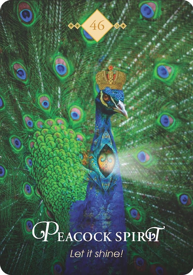 The Spirit Animal Oracle. Оракул Духи животных. Значение карт, трактовки