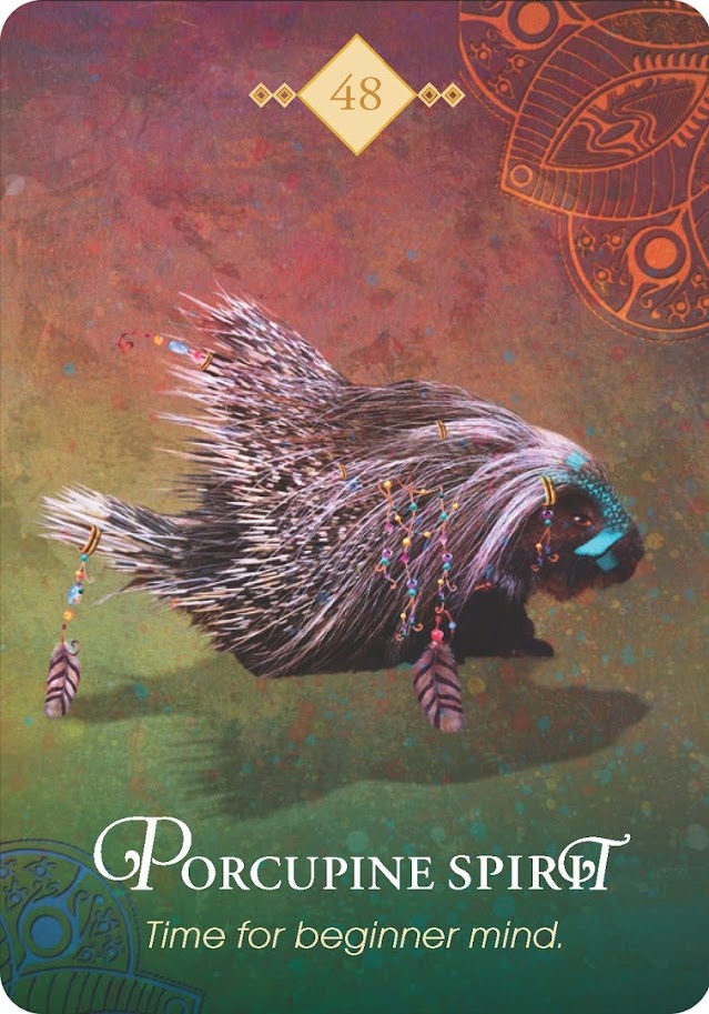 The Spirit Animal Oracle. Оракул Духи животных. Значение карт, трактовки