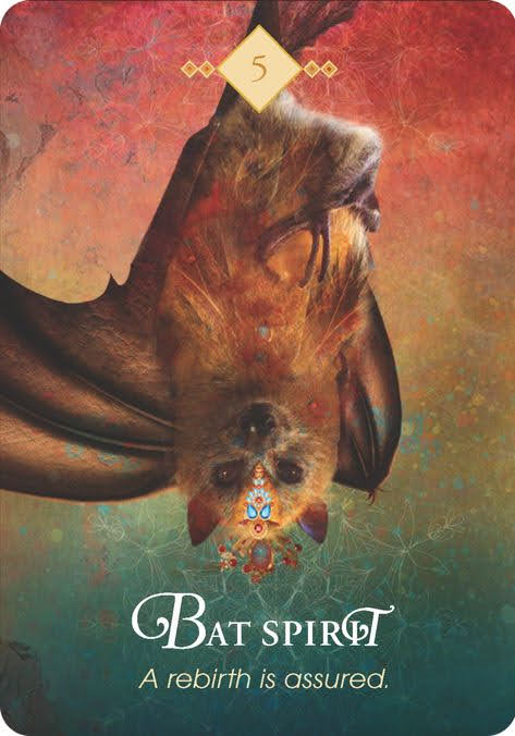 The Spirit Animal Oracle. Оракул Духи животных. Значение карт, трактовки