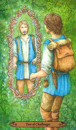 Таро Зачарованного Леса. Значение карт, трактовки. Масть испытаний