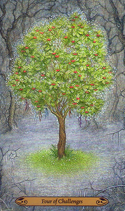 Таро Зачарованного Леса. Значение карт, трактовки. Масть испытаний