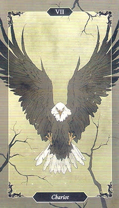 Таро Темного леса. Значение карт, трактовки. Старшие арканы