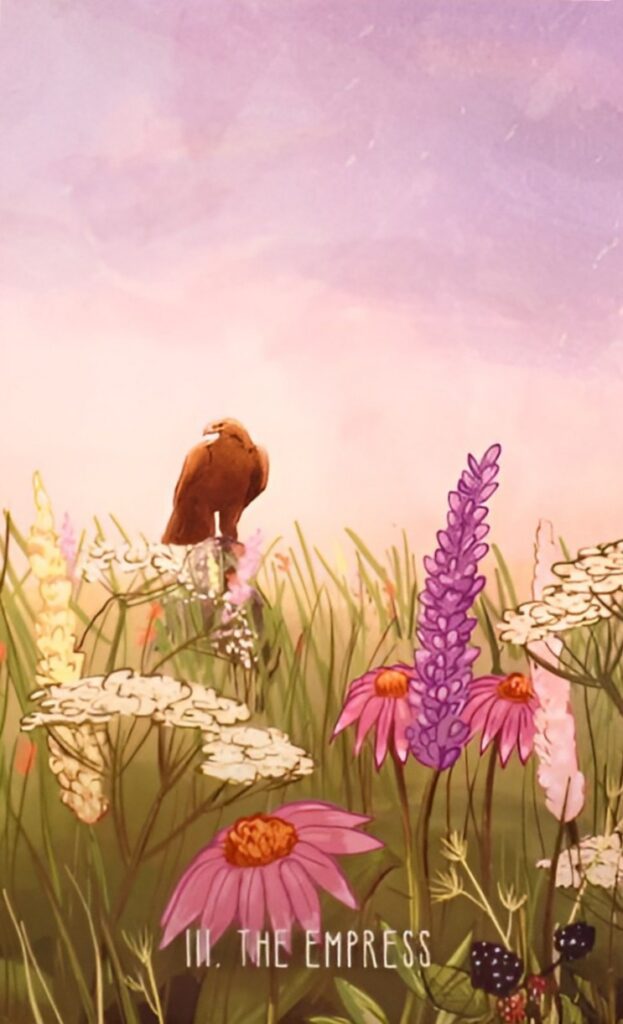 Таро Пространств. Значение карт, трактовки. Старшие арканы