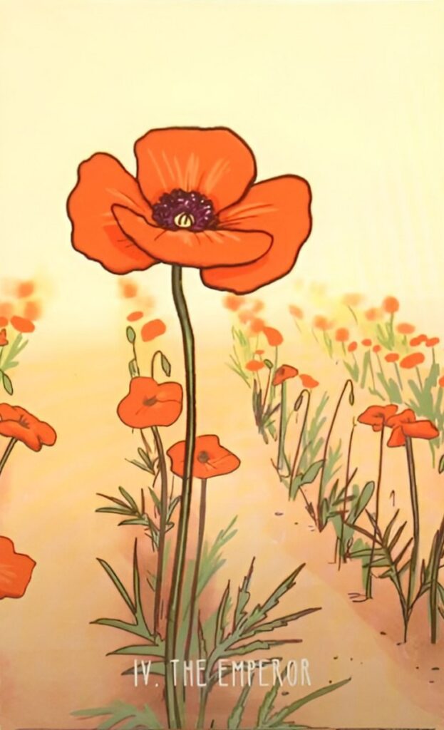 Таро Пространств. Значение карт, трактовки. Старшие арканы