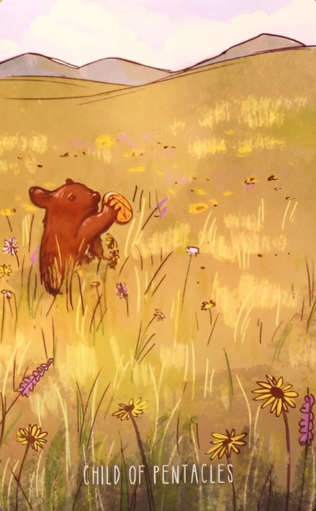 Таро Пространств. Значение карт, трактовки. Масть пентаклей