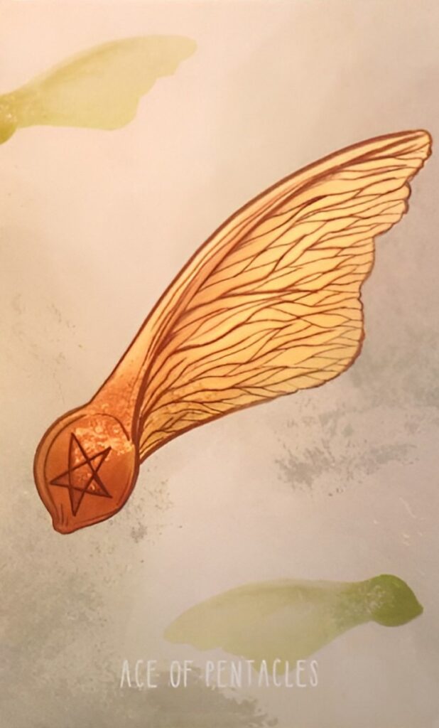 Таро Пространств. Значение карт, трактовки. Масть пентаклей