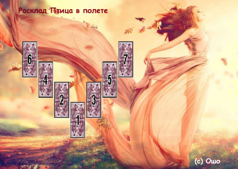 Расклад Птица в полете