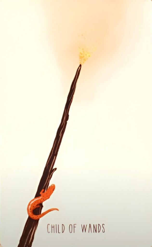 Таро Пространств. Значение карт, трактовки. Масть жезлов