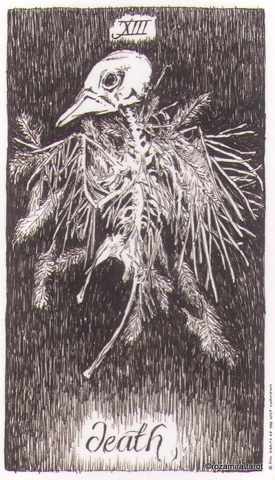 Дикое Неизвестное Таро. Значение карт, трактовки. Старшие арканы