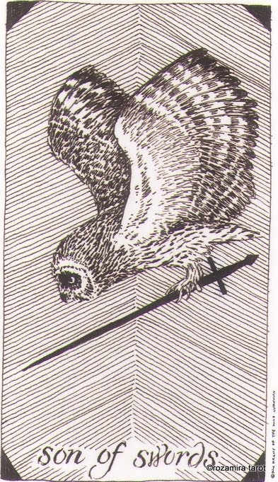 Дикое Неизвестное Таро. Значение карт, трактовки. Масть мечей
