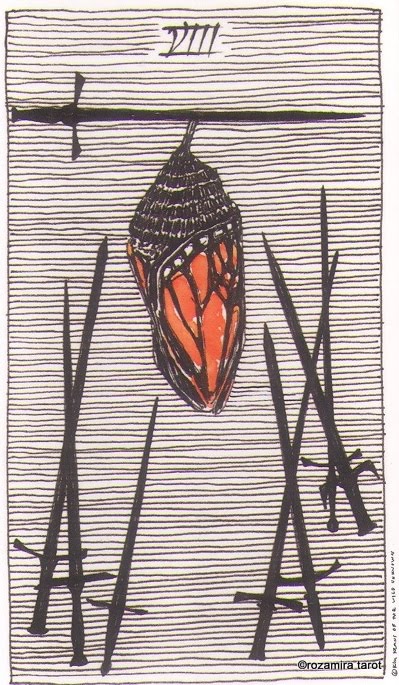 Дикое Неизвестное Таро. Значение карт, трактовки. Масть мечей