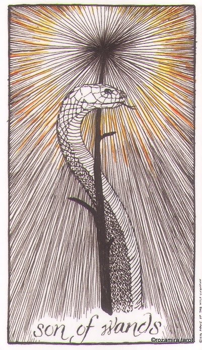 Дикое Неизвестное Таро. Значение карт, трактовки. Масть жезлов